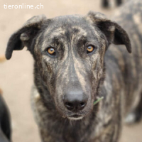 Guinea - auf der Suche nach Geborgenheit