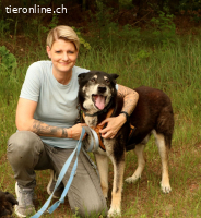 Haker, total positiver und lieber älterer Hund