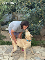 Henrique - der Aussergewöhnliche, zum Liebhaben