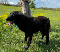 Hera - die "Göttin" sucht ihren Heimatolymp