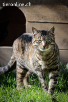 Hilde & Hades - sind reserviert