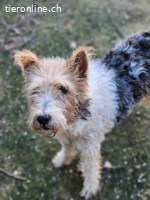 Honey wartet. Und versteht nicht, warum niemand kommt