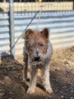 Honey wartet. Und versteht nicht, warum niemand kommt