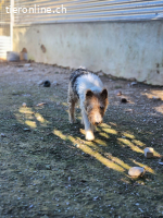 Honey wartet. Und versteht nicht, warum niemand kommt