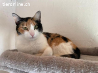 Hübsche Cata wartet auf ihre Familie