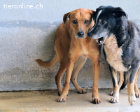 Idalee - Die Wunde namens Zeit