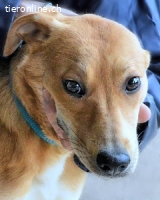 Idalee - Die Wunde namens Zeit