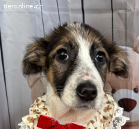 Isa – zart, freundlich und bereit für einen echten Neuanfang