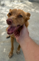 ♡Jara - Charakter aus Gold, aber leider oft übersehen♡