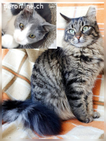 JASMIN & STEVIE - ZWEI DIE MAN EINFACH GERN HABEN MUSS