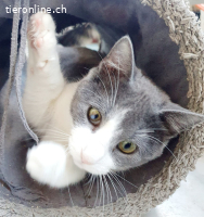 JASMIN & STEVIE - ZWEI DIE MAN EINFACH GERN HABEN MUSS