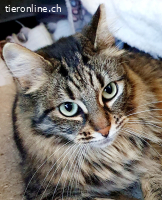 JASMIN & STEVIE - ZWEI DIE MAN EINFACH GERN HABEN MUSS