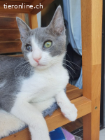 JASMIN & STEVIE - ZWEI DIE MAN EINFACH GERN HABEN MUSS