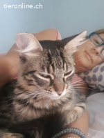 JASMIN & STEVIE - ZWEI DIE MAN EINFACH GERN HABEN MUSS