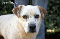 Jedd - Liebe auf den zweiten Stern