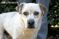 Jedd - Liebe auf den zweiten Stern