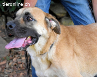 Joonas - wohin führt sein Weg?