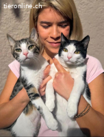 JULIO & JULIA - ZWEI KLEINE SEELEN DIE ES VERDIENT HABEN