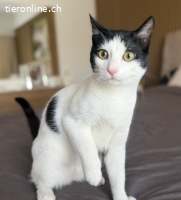 JULIO & JULIA - ZWEI KLEINE SEELEN DIE ES VERDIENT HABEN