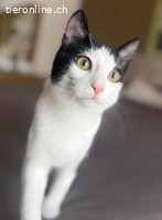 JULIO & JULIA - ZWEI KLEINE SEELEN DIE ES VERDIENT HABEN