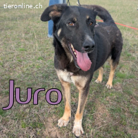 Juro ist bereit für gemeinsame Abenteuer