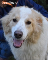 Jury - Powerpaket mit ganz viel Herz im Gepäck