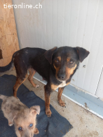 Käthe, kleine Seele mit großem Mutterherz