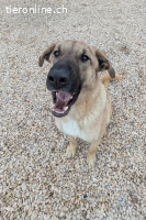 Kajan (1 Jahr) möchte mit dir Abenteuer erleben