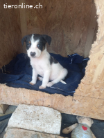 Katta eine kleine Entdeckerin auf der suche nach ihr Glück