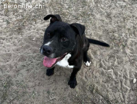 Kemal, möchte endlich sein Herz verschenken