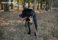 Kemal, möchte endlich sein Herz verschenken
