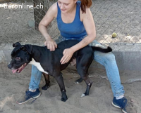 Kemal, möchte endlich sein Herz verschenken