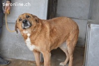 Kemp - Runder Rundum-Schatz