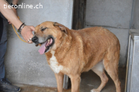 Kemp - Runder Rundum-Schatz