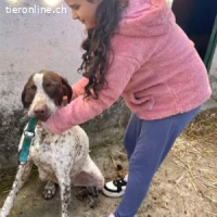 Kiara -eine sehr freundliche Hündin