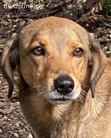 Kiro - Einmal alles auf (Neu)Anfang bitte!