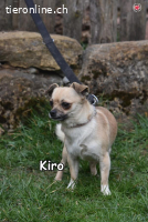 KIRO