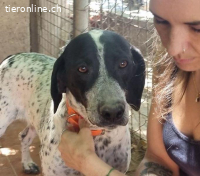 Kleo liebt die Nähe zu den Menschen