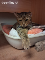 KOFFEE & SPYROS - ZWEI SEELEN EINE FAMILIE