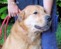 Kosey wartet. Immer noch. Echt jetzt!