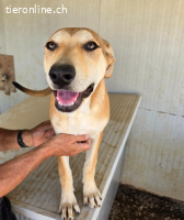 Leda: möchte spielen, lernen, kuscheln