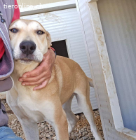 Leda: möchte spielen, lernen, kuscheln