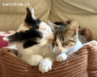 LEIA & KIM - ZWEI BEZAUBERNDE SCHWESTERN