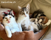 LEIA & KIM - ZWEI BEZAUBERNDE SCHWESTERN