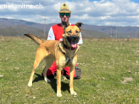 Liebe Honey sucht ihre Menschen mit Herz ❤️