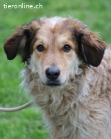 Ligorio - Zwölf, elf, zehn ... eins - Ligorio