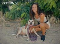 Lili-12, wundervoller Vierbeiner