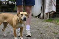 Lilli - und das Leben geht weiter....