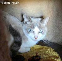 Lilly – ihre wunderschönen Augen schauen dir direkt ins Herz