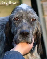 Linda - und plötzlich kann alles gut werden